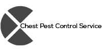 Chest Pest Control Service